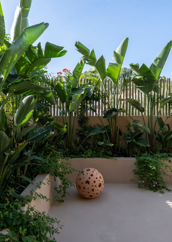A small walled terrace with large bird of paradise plants, a light concrete floor, and a bamboo screen fence.