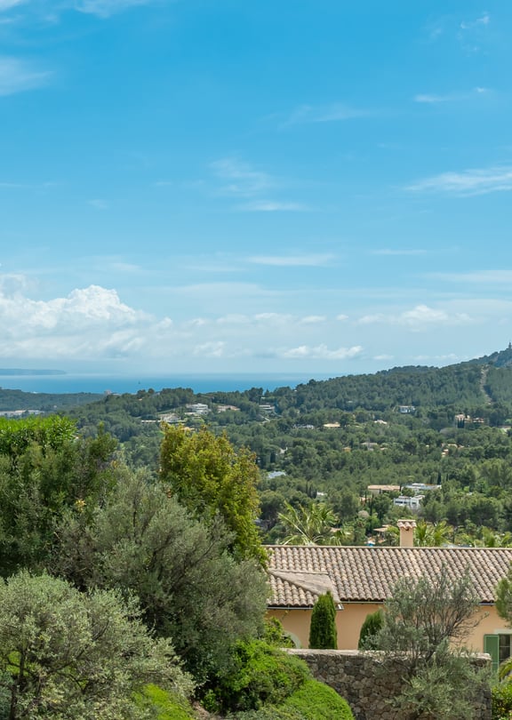 Elevated southwest-facing view from Son Vida villa across pine and olive woodland toward Palma Bay and the Mediterranean, with sailing boats visible on the water