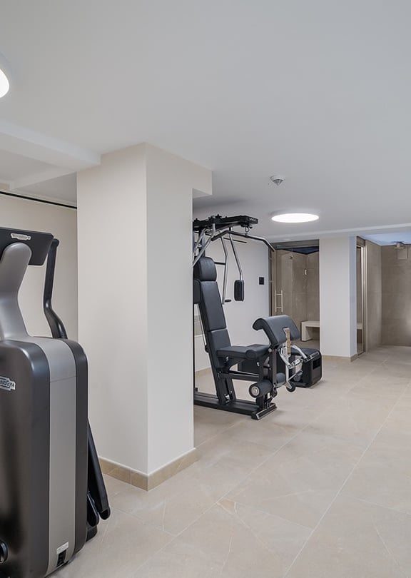 Gym space with cardio machines and cable station under circular skylights, glass-fronted Finnish sauna visible at the far end