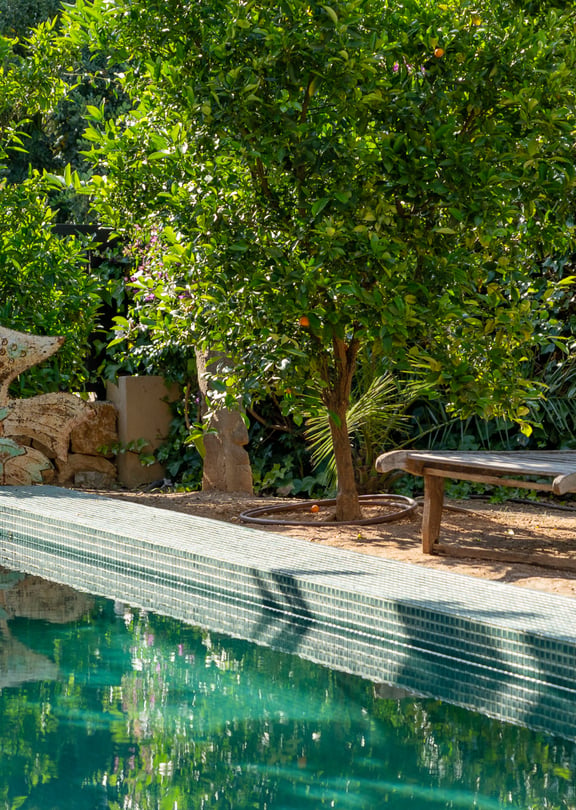 A tiled swimming pool edge next to a wooden lounge chair under citrus trees in a Mediterranean garden setting.