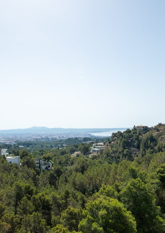 Panoramic elevated view looking over dense green pine forest towards the distant Mediterranean sea in Son Vida, Mallorca.