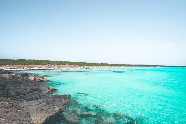 Summer in Mallorca 2026