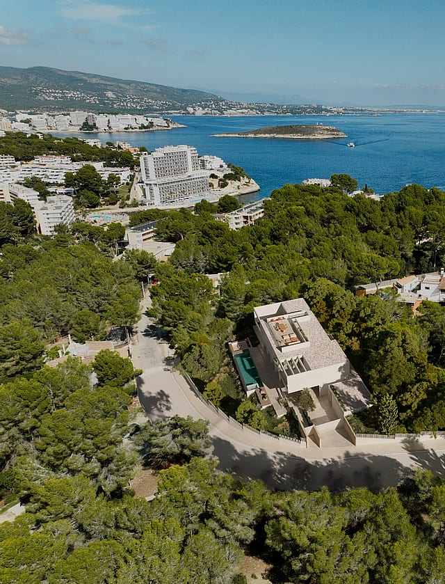 Aerial view of the villa within pine woodland near the coast
