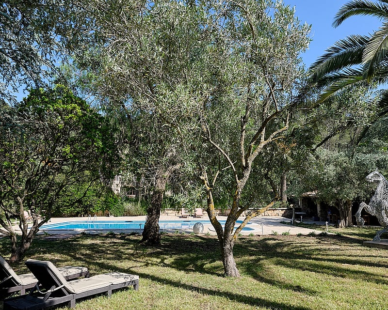 FINCA ALARO