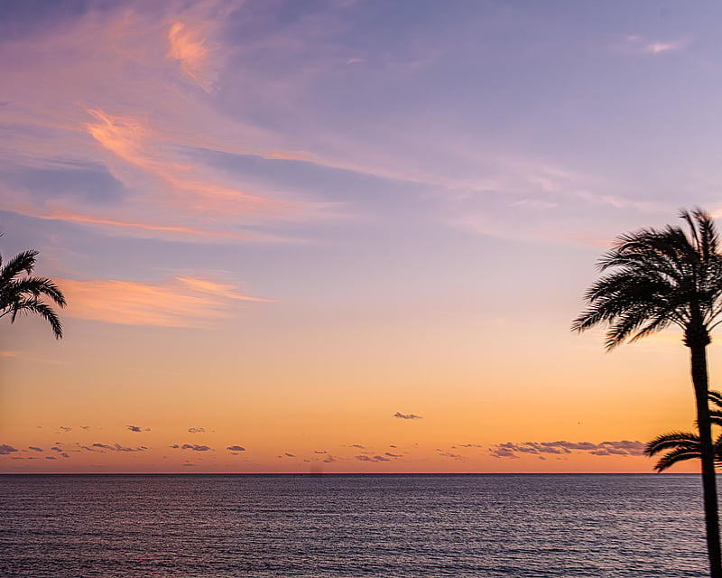 PALMA BEACH APARTMENT