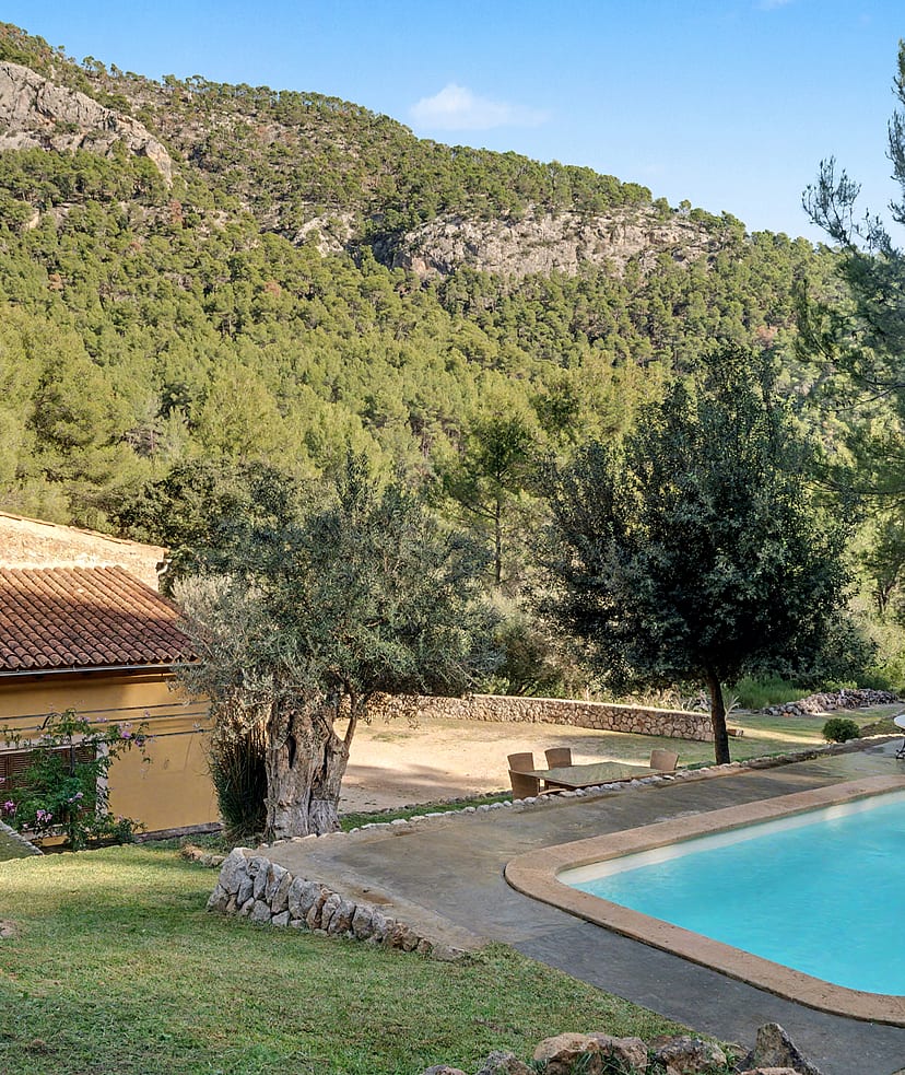 Swimming pool and garden with mountain and pine forest behind a rustic finca