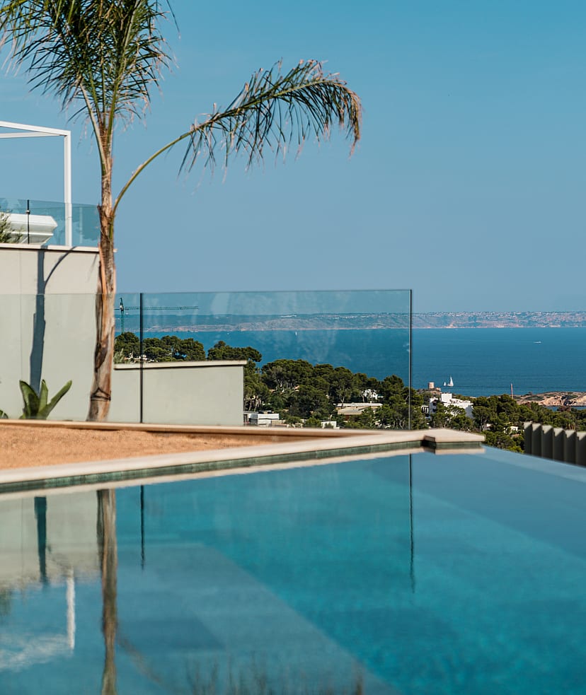 An infinity-edge swimming pool with clear blue water, glass balustrade, and palm tree, set against a coastal horizon.