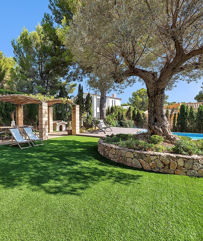 A green manicured lawn with a stone pergola, hanging wicker swing chair, and an mature olive tree in a sunny garden.