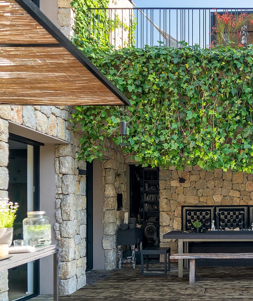 A shaded outdoor dining terrace with stone walls, a wooden table, bench seating, and a large climbing ivy wall.