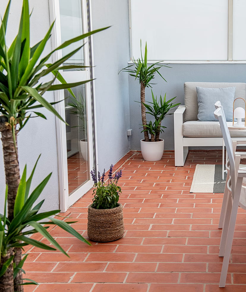 An outdoor terrace with terracotta tile flooring, a white dining table with matching chairs, and potted yucca plants.