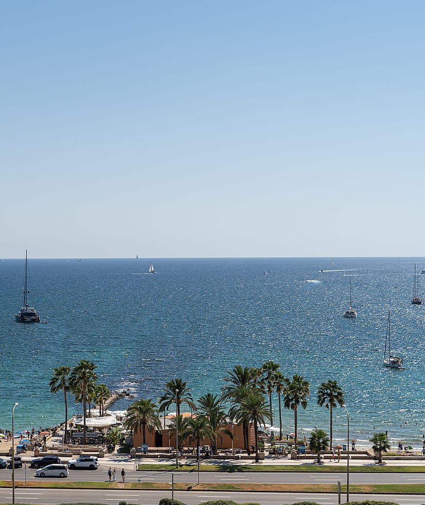 Wide angle view of the sparkling sea and coastline from an elevated balcony, featuring a sandy beach and palm trees.