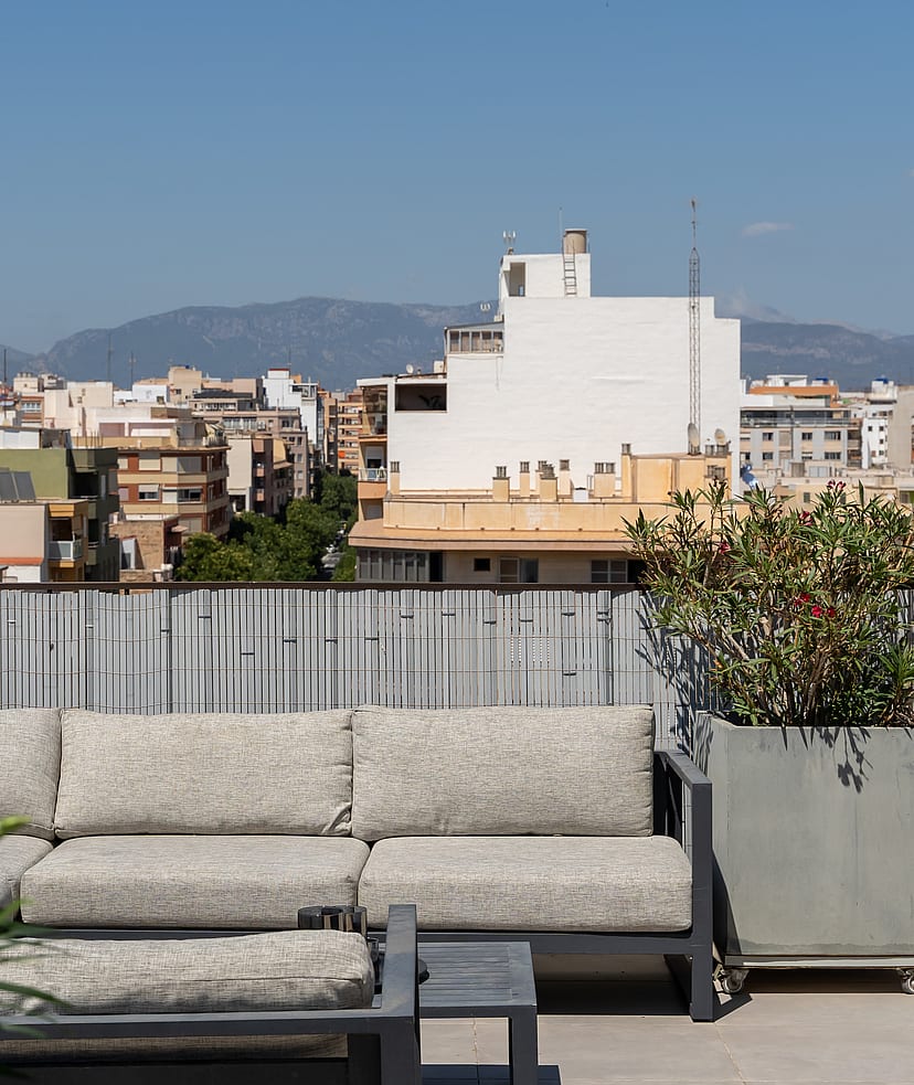 A rooftop terrace featuring a grey sofa, a large potted plant, and a metal privacy screen overlooking the Old Town cityscape.
