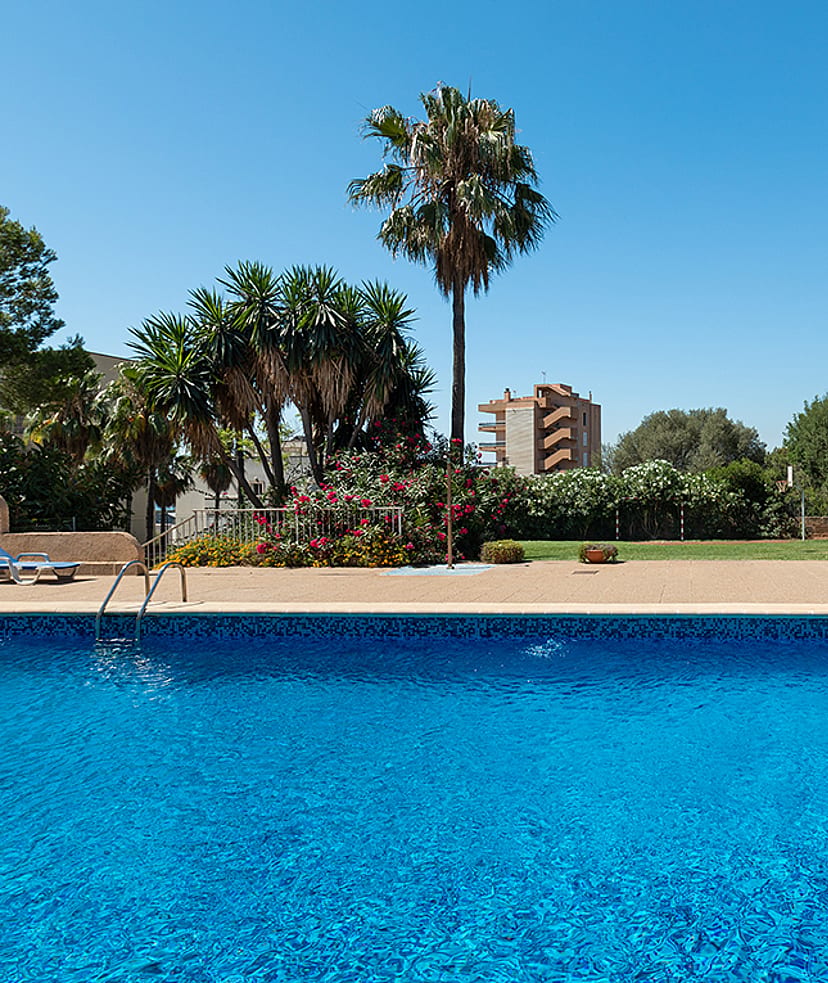 Gemeinschaftlicher Außenpool mit Palmen und blühendem Garten in einem Wohngebäude in Bonanova Palma