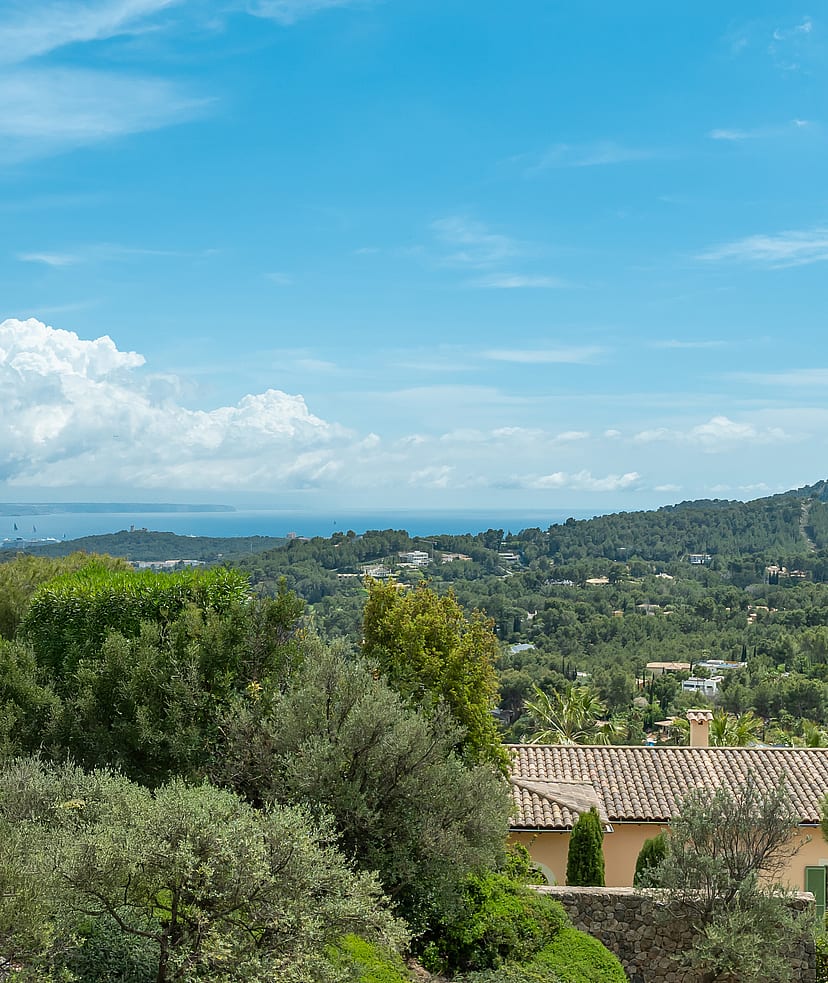 Elevated southwest-facing view from Son Vida villa across pine and olive woodland toward Palma Bay and the Mediterranean, with sailing boats visible on the water