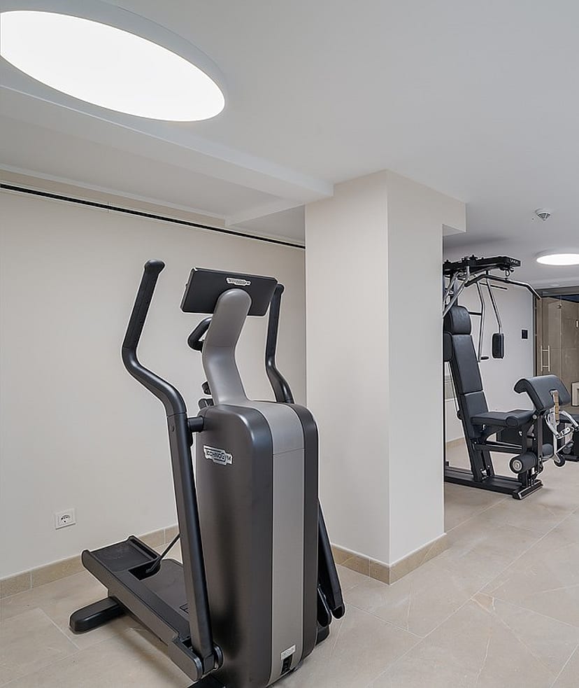 Gym space with cardio machines and cable station under circular skylights, glass-fronted Finnish sauna visible at the far end