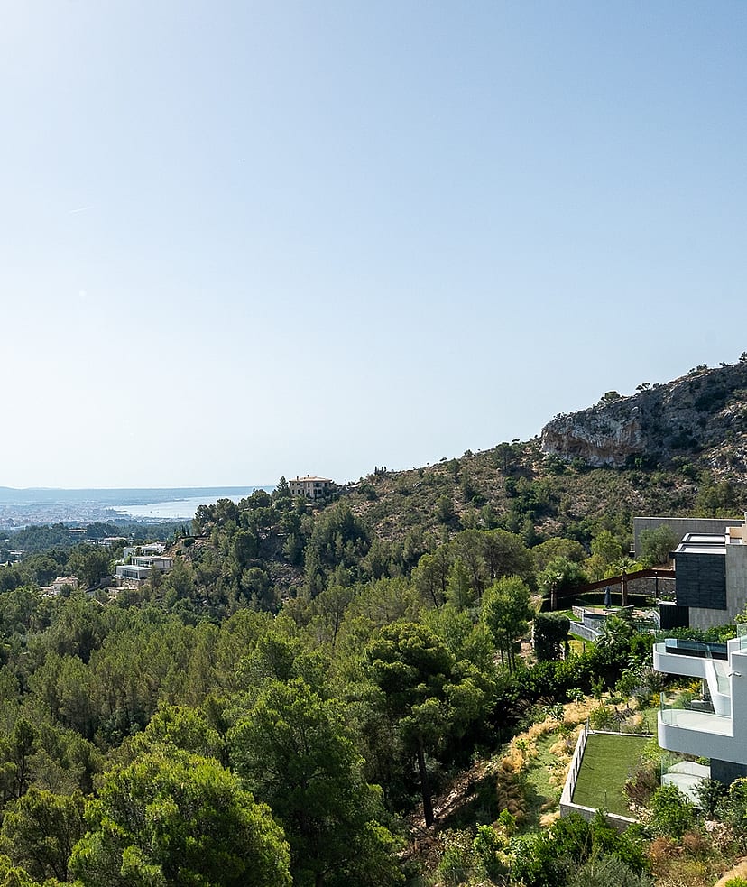 Panoramic elevated view looking over dense green pine forest towards the distant Mediterranean sea in Son Vida, Mallorca.