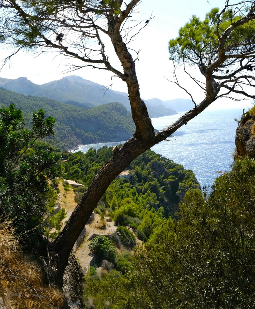HIKING VALLDEMOSSA