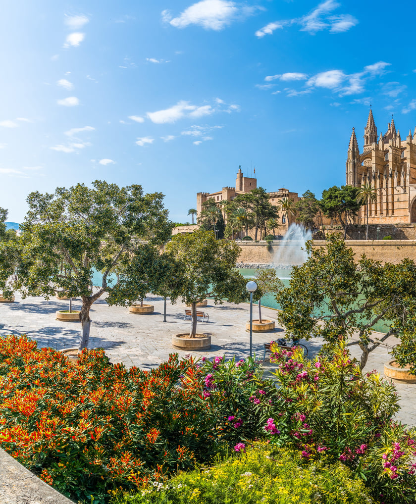 OLD TOWN PALMA