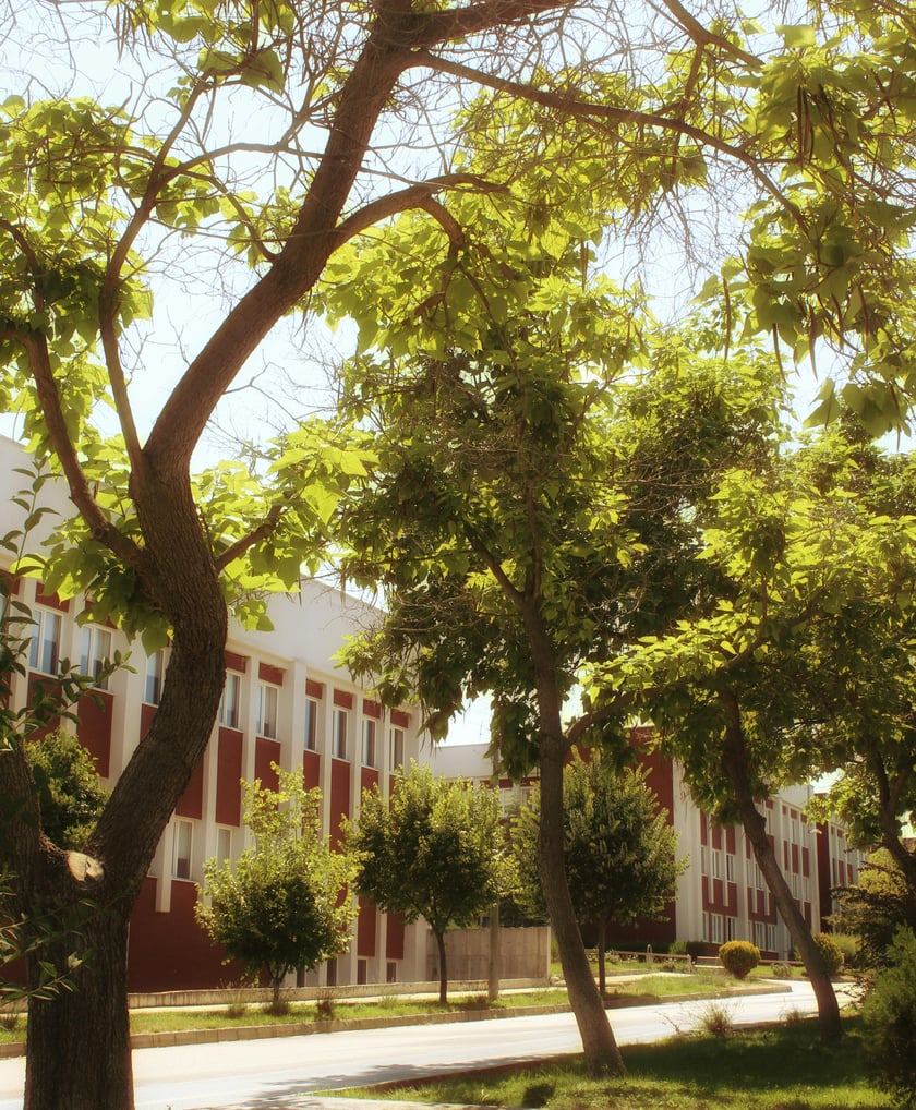 INTERNATIONAL SCHOOLS