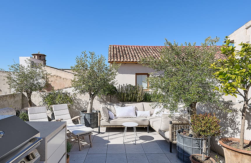 Private rooftop terrace with cream-coloured lounge seating, potted olive trees, Mediterranean planting, and panoramic views of Palma Cathedral