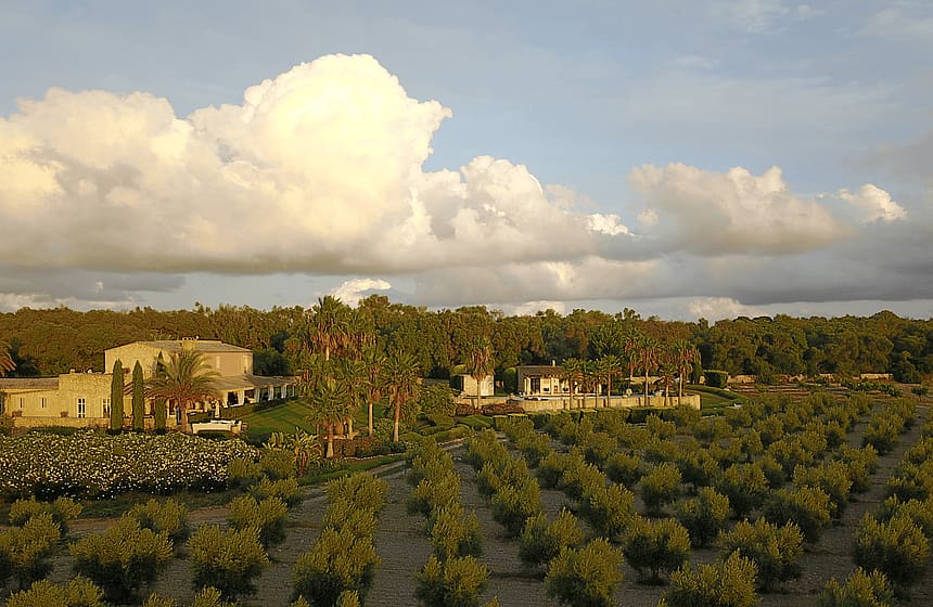Aerial perspective of a stone Finca surrounded by olive groves at sunset under a cloudy sky.