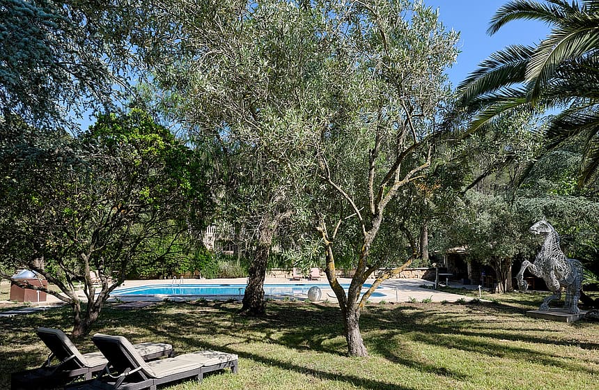 A rectangular swimming pool surrounded by mature olive trees, palm trees, and manicured lawns with two sun loungers in the foreground.