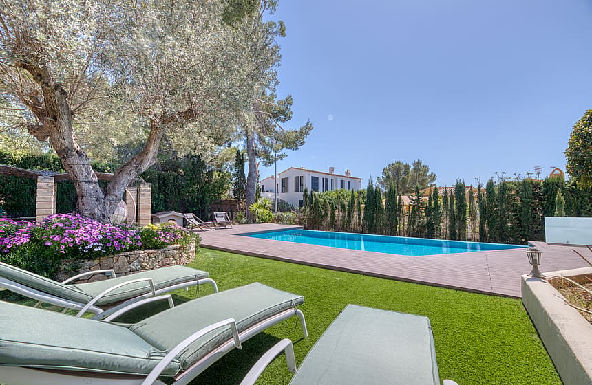 A private garden with a swimming pool, sun loungers on grass, a mature olive tree, and privacy hedges under a clear blue sky.