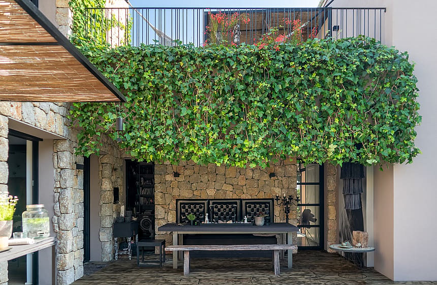 A shaded outdoor dining terrace with stone walls, a wooden table, bench seating, and a large climbing ivy wall.
