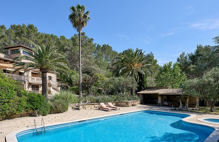 Outdoor swimming pool with blue water and surrounding stone terrace, palm trees, and mountain backdrop in Alaro.