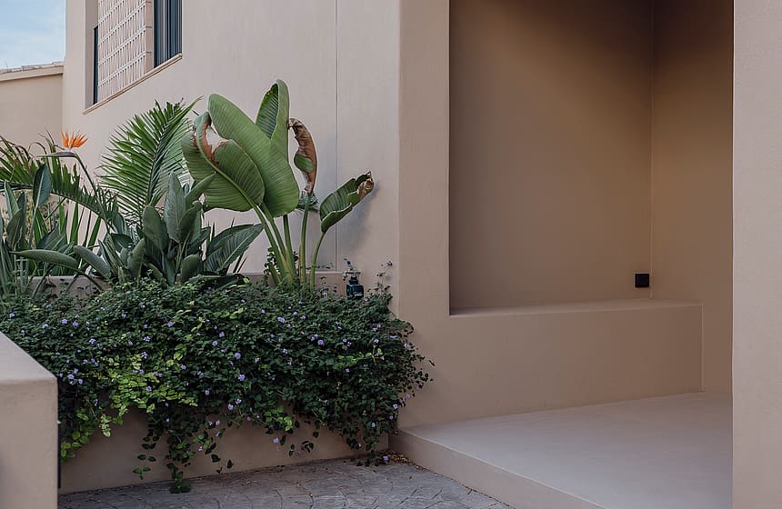 A close-up view of a beige plaster wall exterior entrance with a built-in planter filled with tropical plants.