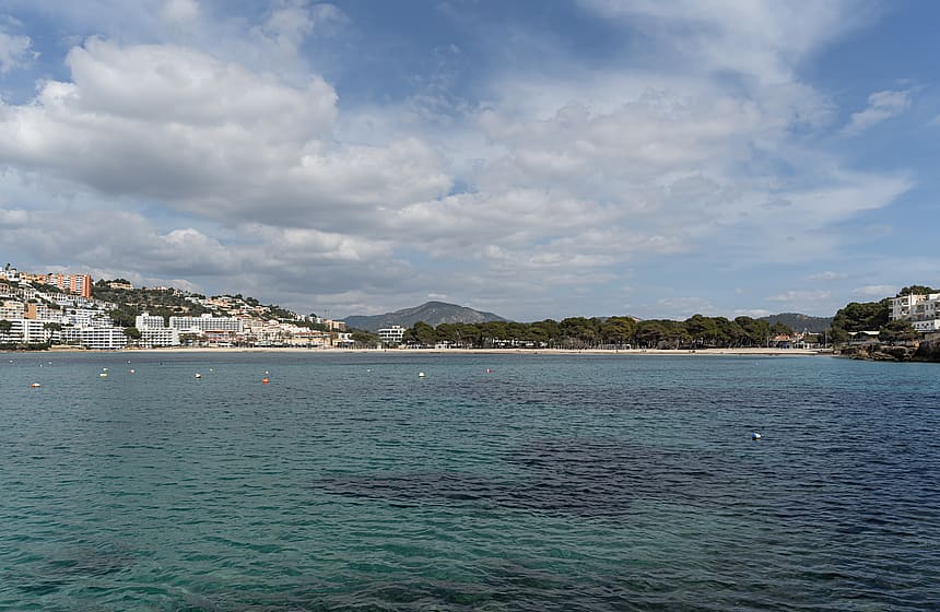 Wide shot of a turquoise Mediterranean bay with a sandy beach and green pine trees under a soft blue sky.