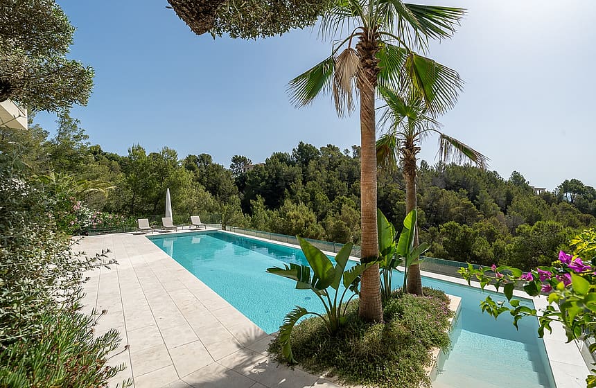Outdoor swimming pool with stone tiled decking, palm trees, and surrounding forest vegetation in bright daylight.