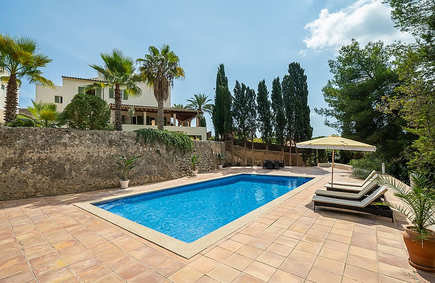 Rectangular blue swimming pool on a paved stone terrace with sun loungers, bordered by cypress and pine trees.