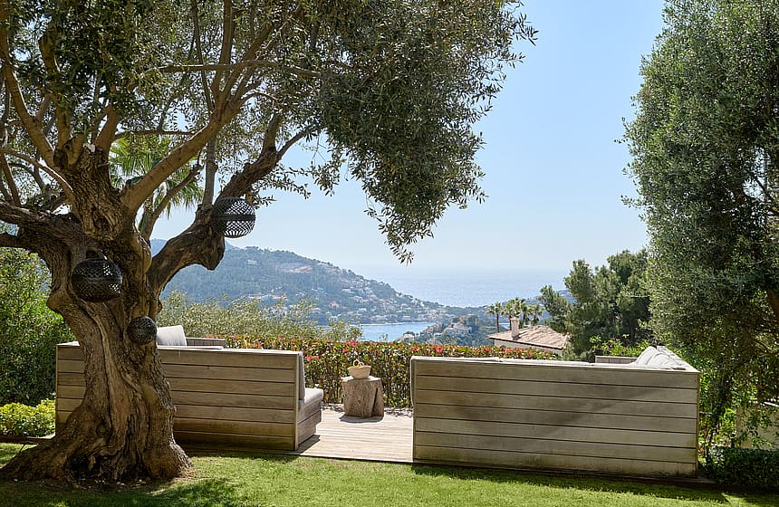 Garden seating beneath a mature olive tree with the sea and coastline beyond