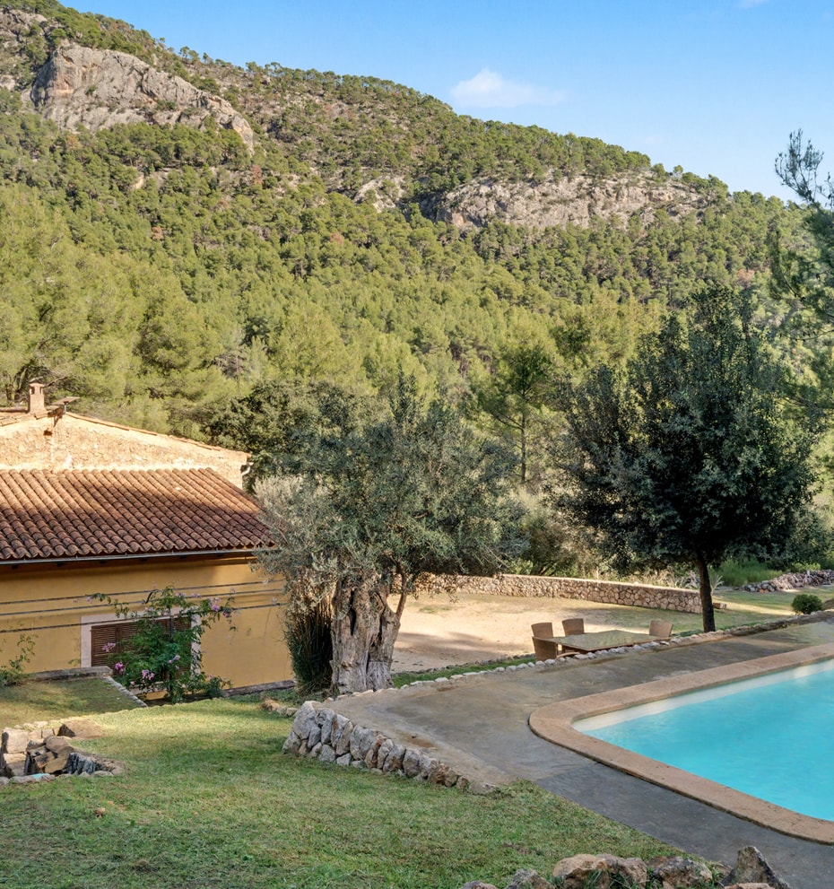 Swimming pool and garden with mountain and pine forest behind a rustic finca