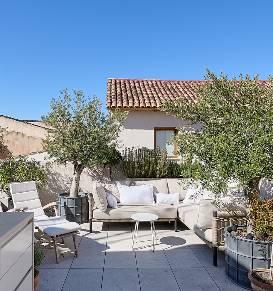 Private rooftop terrace with cream-coloured lounge seating, potted olive trees, Mediterranean planting, and panoramic views of Palma Cathedral