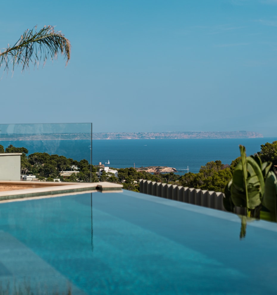 An infinity-edge swimming pool with clear blue water, glass balustrade, and palm tree, set against a coastal horizon.