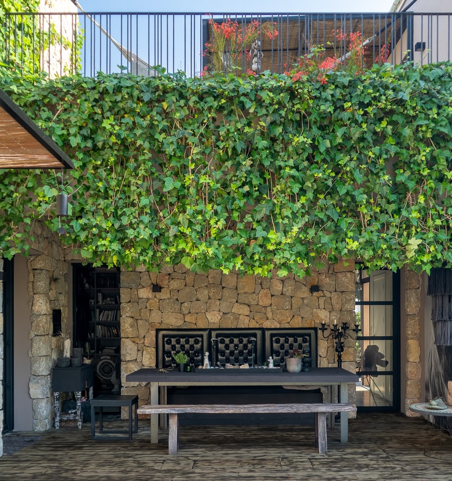 A shaded outdoor dining terrace with stone walls, a wooden table, bench seating, and a large climbing ivy wall.