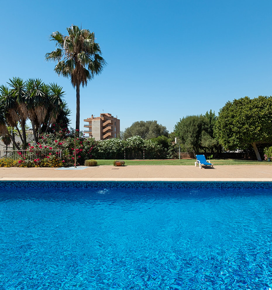 Gemeinschaftlicher Außenpool mit Palmen und blühendem Garten in einem Wohngebäude in Bonanova Palma