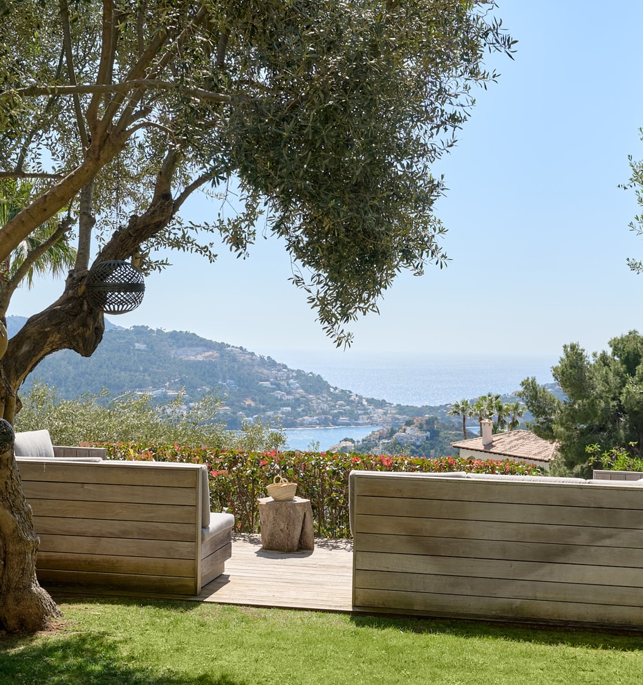 Garden seating beneath a mature olive tree with the sea and coastline beyond